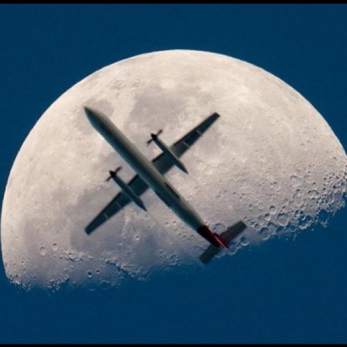 TWIADNY's profile picture. 