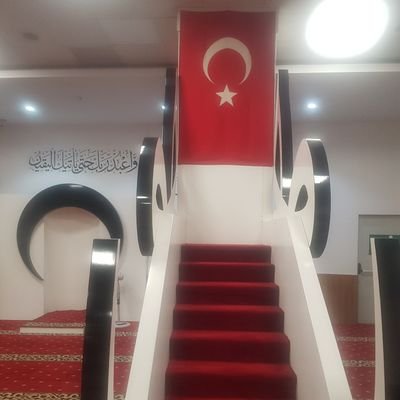 Prof.Dr Türk oğlu Türk Profile