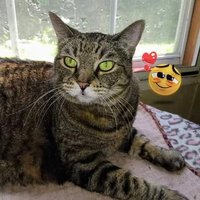 Joe Fleming (@josephfleming3) 's Twitter Profile