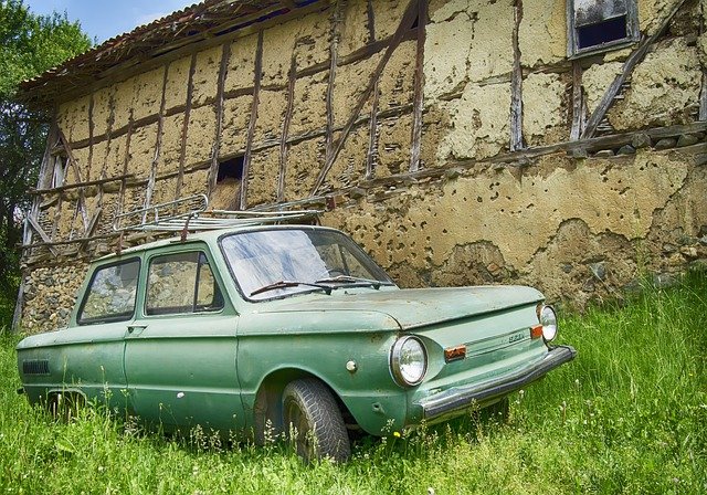 Gnen980904's profile picture. 