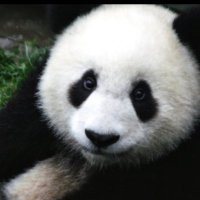 嘉欣 (@jiaxin66279925) Twitter profile photo