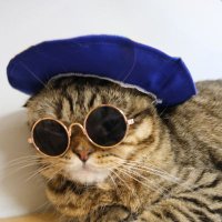 🩶เจ้าลูกแมว😸😾🐱😺 (@yingjhyb) 's Twitter Profile