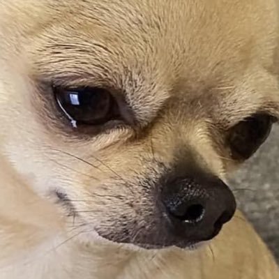 doitforme22's profile picture. 사담과 잡념