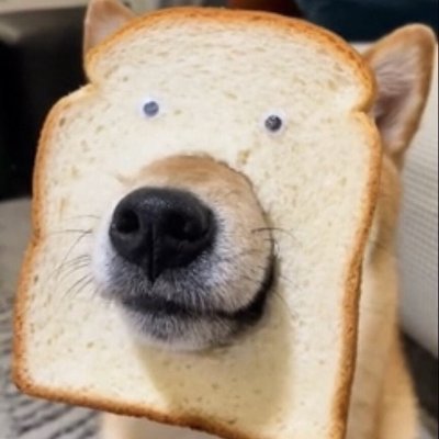 MarcosS36442776's profile picture. 