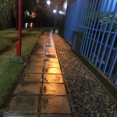 maxibulich's profile picture. Alonso's Version