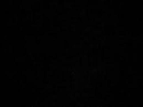 ShahrukhRizvi1's profile picture. 