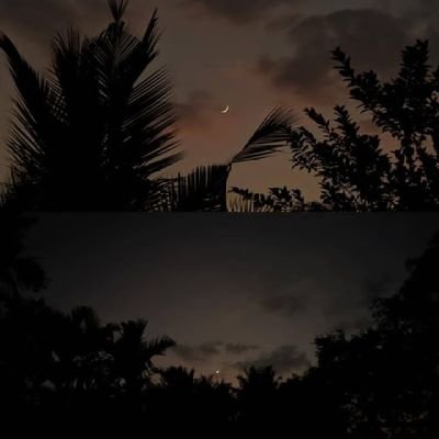 gauri_mshra's profile picture. 