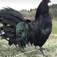 Ángel García (@ngelgarca526847) 's Twitter Profile