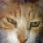 Pueblo Pablo (@hogdoodie) 's Twitter Profile