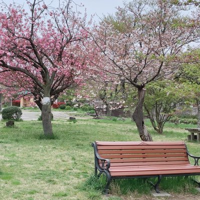 はじめまして😊趣味/モンスト、音楽鑑賞、温泉♨️、花💐や風景の写真撮ることです。猫が大好き💕。 昔、コッピのふちこちゃんのガチャにはまっていました。 音楽はミスチル、バックナンバーをきいてます