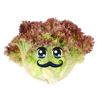 newLettuce Profile Picture