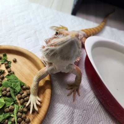 MUCCH1さんのプロフィール画像