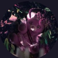 Ursinha rosa da Eve ❤️🤍🍀🍀🍀 (@ursinhaeve) 's Twitter Profile