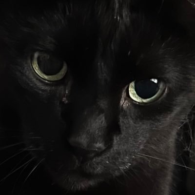 marencukor's profile picture. 