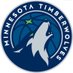 Did the Timberwolves win? (@DidTimberwolves) Twitter profile photo