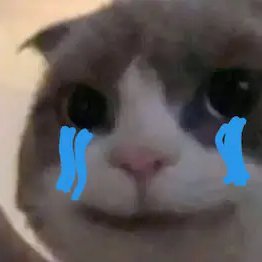 pyr0gens's profile picture. admin magang https://t.co/ZKzQggZsFC