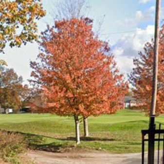 zst8n9wy4j2's profile picture. E