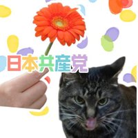 日本共産党杉並ズを見守り隊（元わけみき部） (@wakemiki_gogo) 's Twitter Profile Photo
