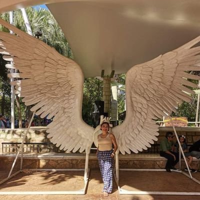 yurisantavega1's profile picture. Locutora por más de 30 años y más que dispuesta a aprender #ViveAquiYahora