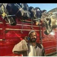 Aded E131 (@ahmed54783211) 's Twitter Profile
