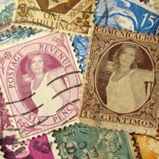 Chrissy__Hu's profile picture. 