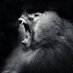 Nature is Scary (@disastervide0) Twitter profile photo Nature is Scary (@disastervide0) Twitter profile photo