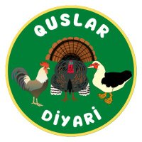 Quslar Diyari(@quslardiyari) 's Twitter Profile Photo
