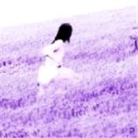 AugusEisenhowe9's profile picture. The market held steady throughout the yearThere is great hope for the future!