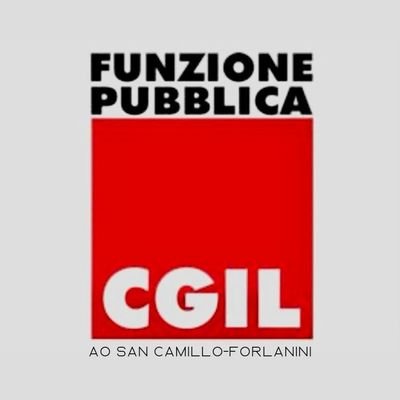 FScamillo94820's profile picture. 