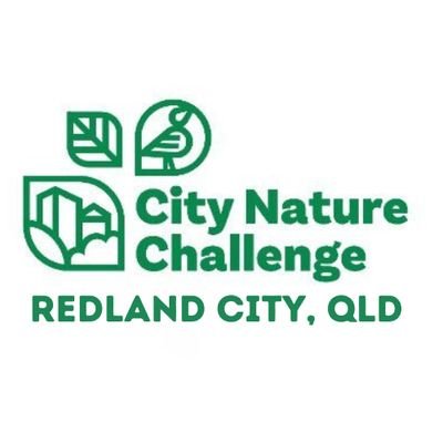 Citizens of Redland City, QLD Australia are taking on the world by bioblitzing their own backyards, beaches, bush, bay & parks for #CityNatureChallenge 2023!
