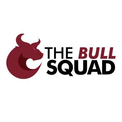 thebullsquadLTD Profile Picture