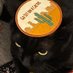 Calypso the cat (@caleeeepso) Twitter profile photo Calypso the cat (@caleeeepso) Twitter profile photo