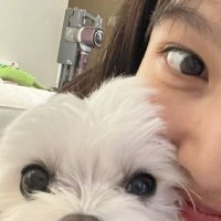 jey (@mewcflurry) 's Twitter Profile