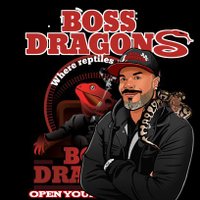 Boss Dragons(@boss_dragons) 's Twitter Profile Photo