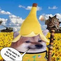 Interesting_Data209 (@intdata209) 's Twitter Profile
