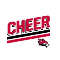 Yorkville High School Cheer Program. Go Foxes! 🦊