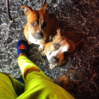 Spade1306's profile picture. 