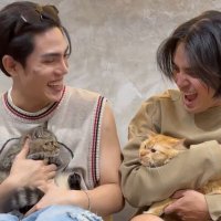 no context stelljun (@nocontext_sj) 's Twitter Profile