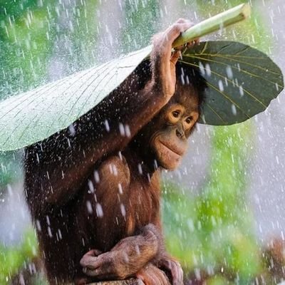 pelayan kesehatan yang suka sepedaan