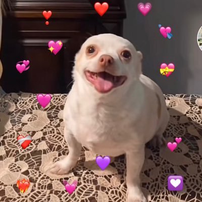 aria_eseese's profile picture. he venido a quejarme