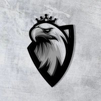 Hawks Sports 🦅 (@hawkssportss) 's Twitter Profile