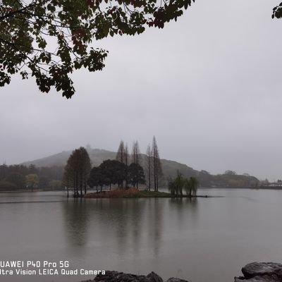 nancy2025lucky's profile picture. 