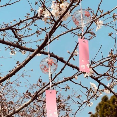 活出精彩人生