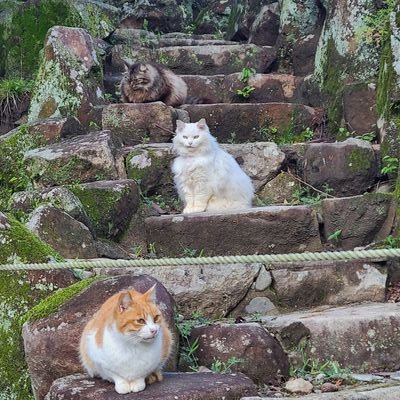 tpfqKNd2IeNiNoD's profile picture. 趣味でドラム叩いたり、ライブ参戦するの大好きです！