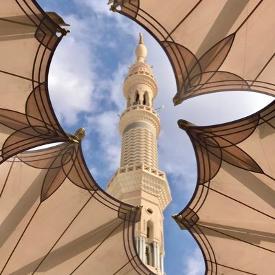 Sarrrah_Afifi's profile picture. 