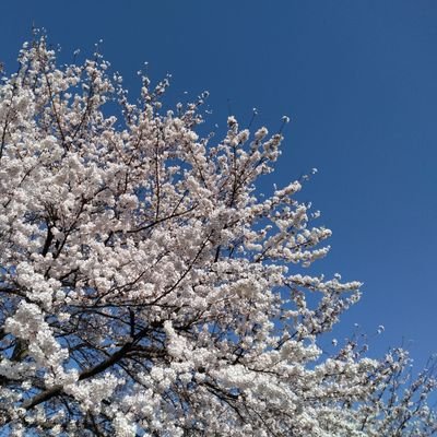 詩作、写真、旅行、漫画、ウルトラマンが好きです。美術館、博物館、神社、お寺など、時々出かけています。毎週の楽しみは、響け！ユーフォニアム３、ダンジョン飯、烏は主を選ばない。いろいろと不慣れですが、よろしくお願いします。ブログでは日記や詩を中心に、たまに旅行記も書いています。