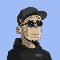 tsym.crypto{🕷️}(33.3%)(@tsymxx) 's Twitter Profile Photo