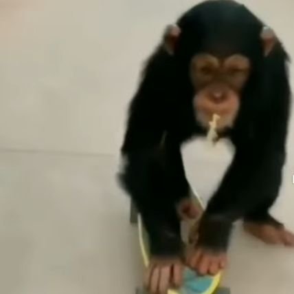 gaaaabrieI's profile picture. meu instinto é primitivo, eu só falo bobagem