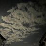 math_eagles's profile picture. いちお笑いファンの日記