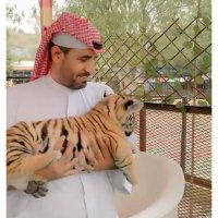 💚🇸🇦dafeer (@dafeer_q) 's Twitter Profile